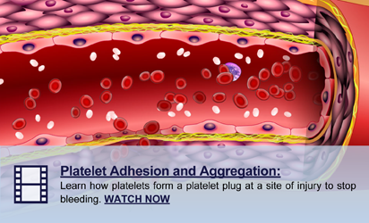 Learn how platelets form a platelet plug at a site of injury to stop bleeding. WATCH NOW