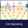 Cell signalling