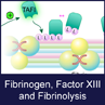 Fibrinogen, Factor XIII and Fibrinolysis